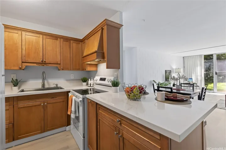 Kitchen with new quartz countertops, sink, fixtures and more!