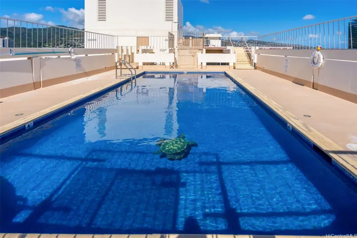 Roof deck pool