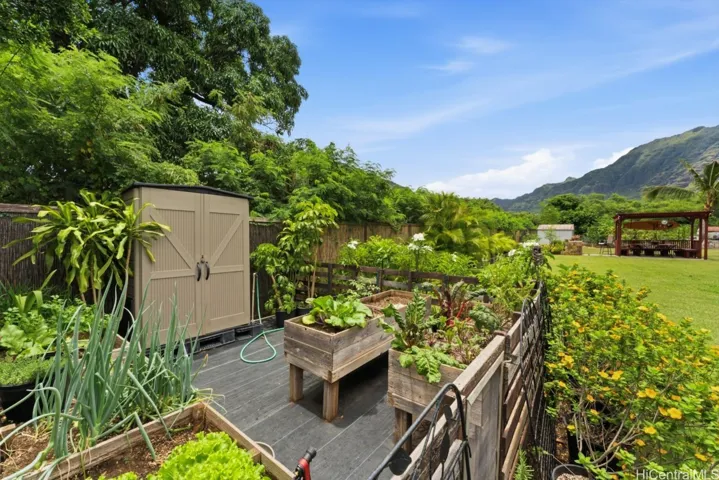Garden