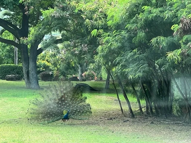 Beautiful grounds, pure nature