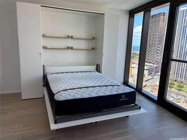 Queen sized Murphy bed
