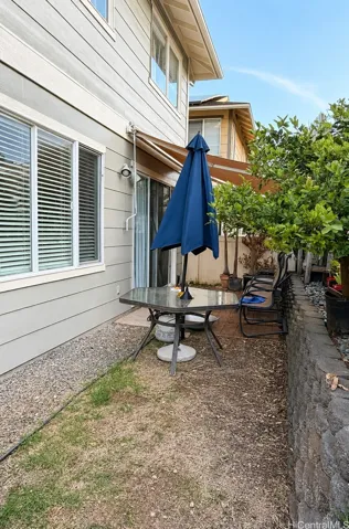Backyard with dragon fruit and lime/calamansi tree