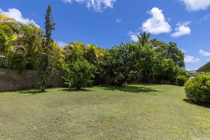 Expansive back yard, 12,500 sq ft!  The backyard is completely enclosed on both sides for children and pets.
The possibilities are endless!