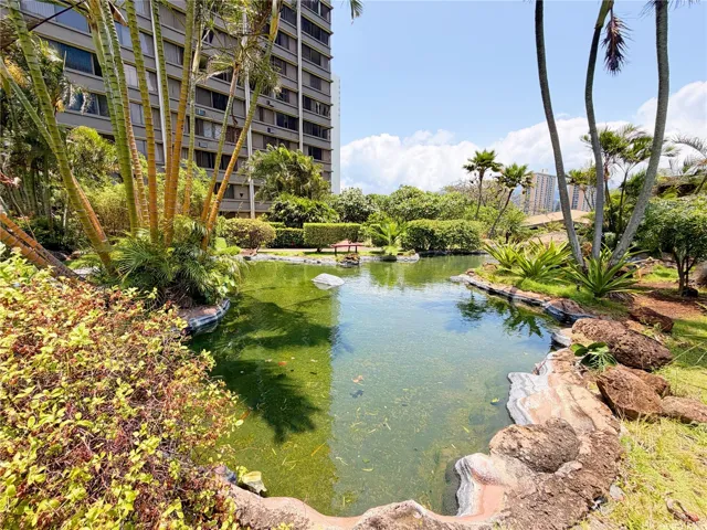 One of many ponds on amenities deck