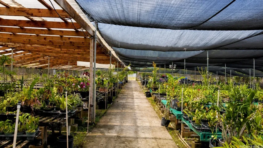 Irrigated Greenhouse with orchid farm