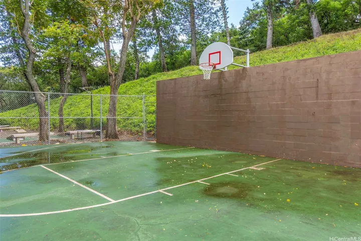 Basketball Court