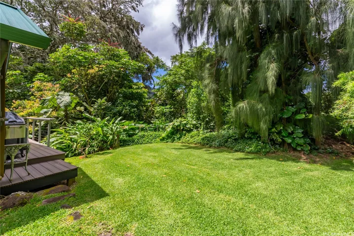 Yard Area