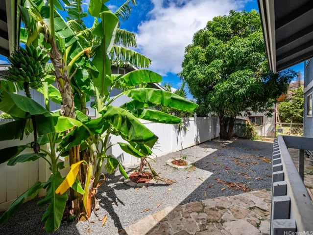 Fresh gravel keep maitenance easy with mango, banana, and citrus trees