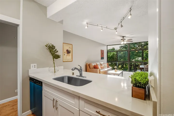 Quartz counter tops w/ new dishwasher