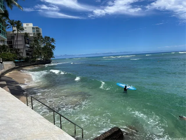 Watch the swimmers out back or join them!