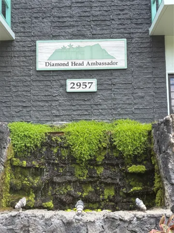 Welcome to Diamond Head Ambassador