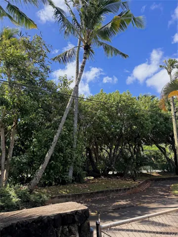 Tropical paradise so close to the ocean!