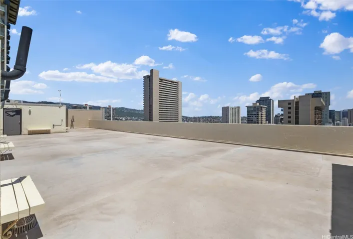 LARGE ROOFTOP DECK