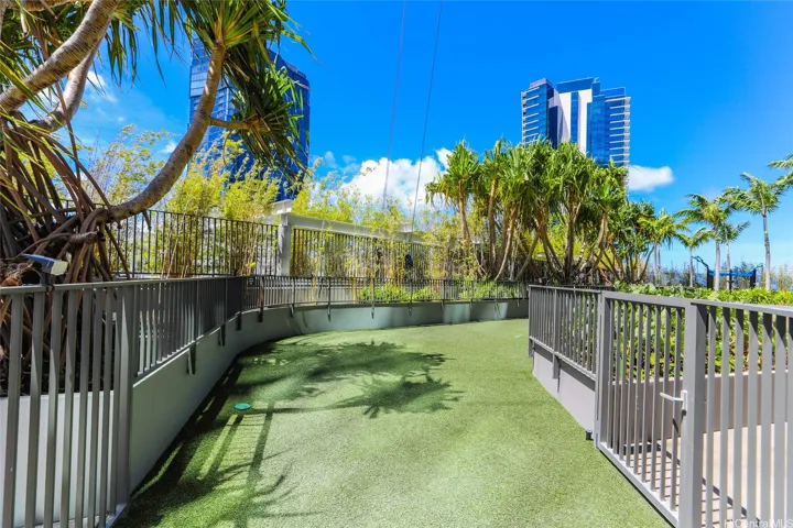 Gated Dog Park