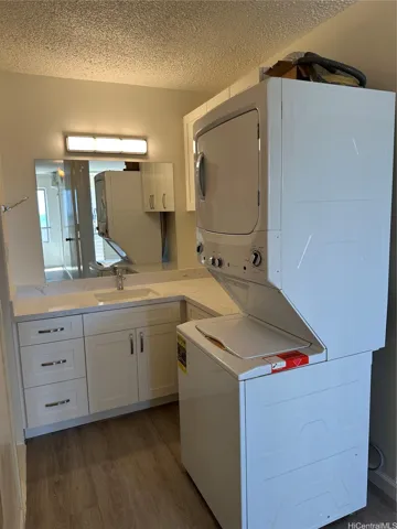 Vanity and Washer Dryer