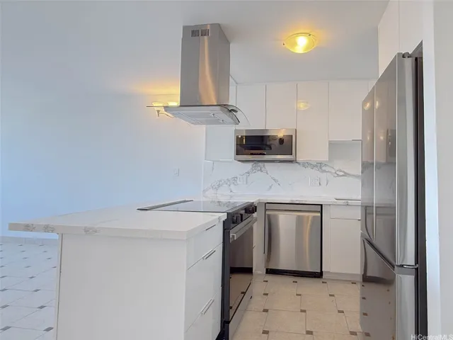 Completely renovated Kitchen with Acrylic Cabinets & top of the line stainless steel appliances