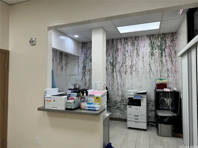 Entrance to the Reception Desk Working Area