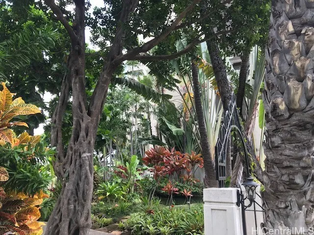 BBQ areas