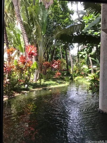 Koi ponds