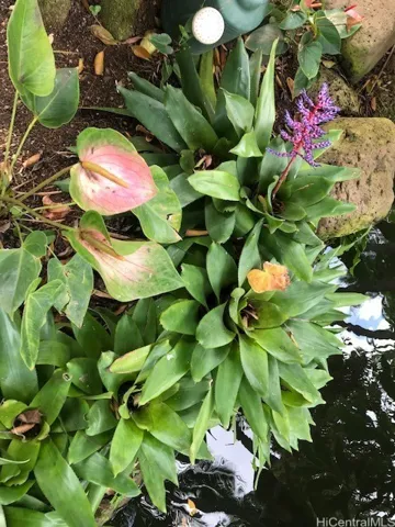 gardens on the grounds