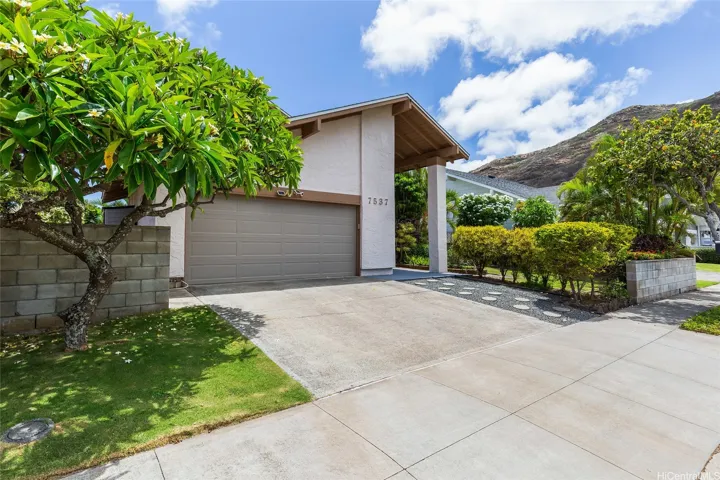 Welcome Home. Plumeria tree to our left.