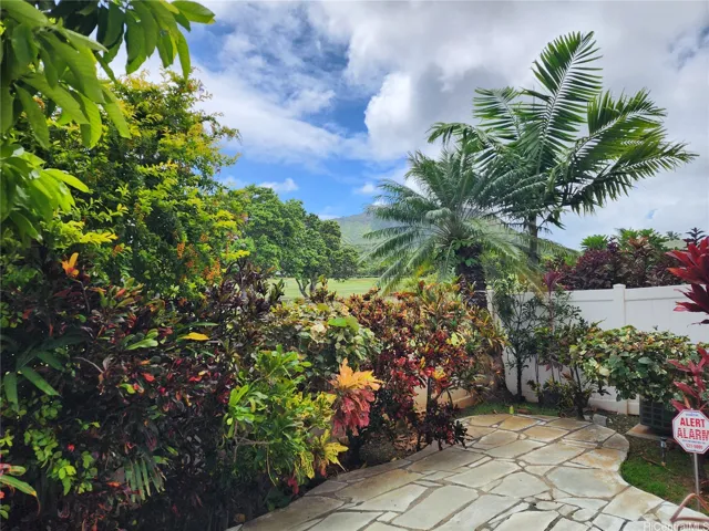 view in the private yard