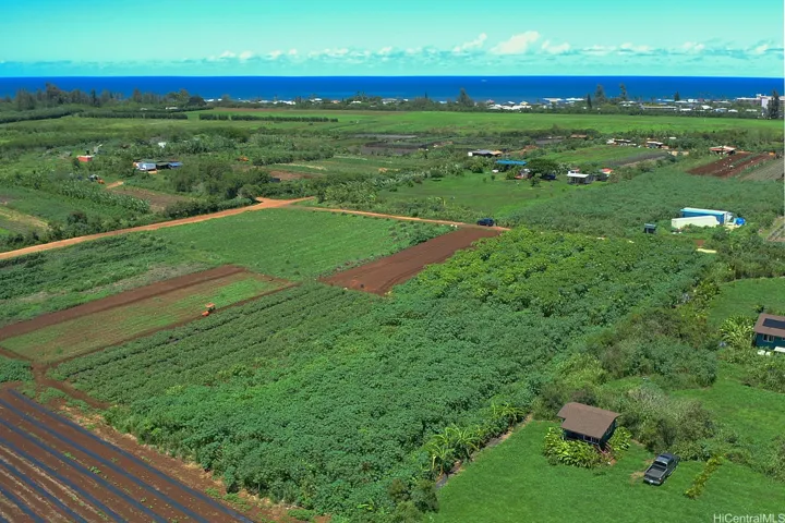 2 acre lot #26 with crops growing