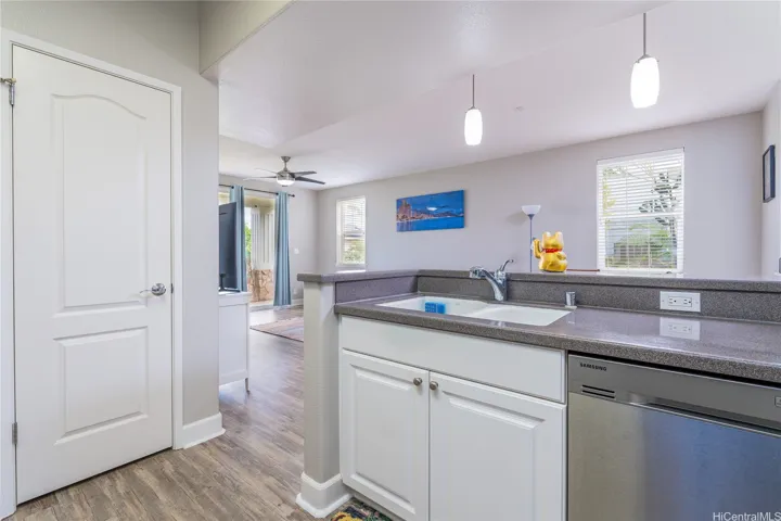 Kitchen Dishwasher and Large Pantry