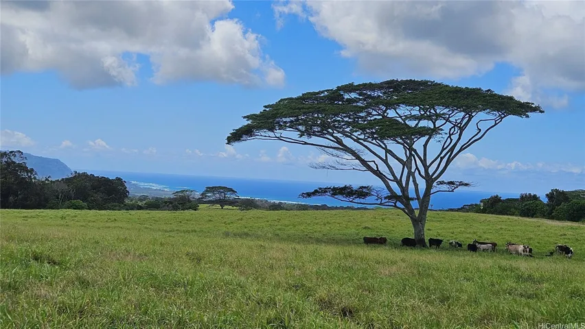 Be part of the Laukihaa farming community.