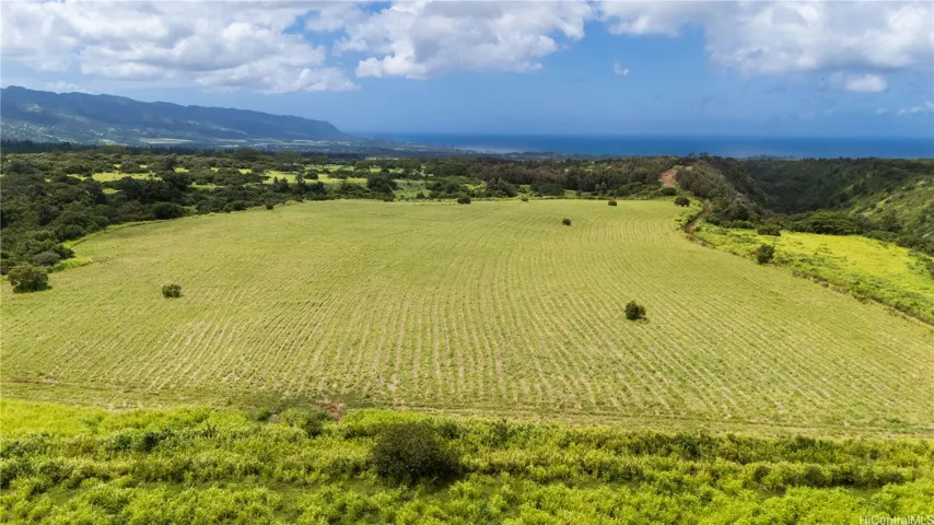 Amazing flat usable farm land for sale with wonderful ocean views.