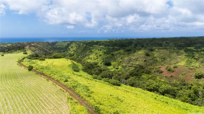 Wide open spaces for mountain biking, hiking and more.