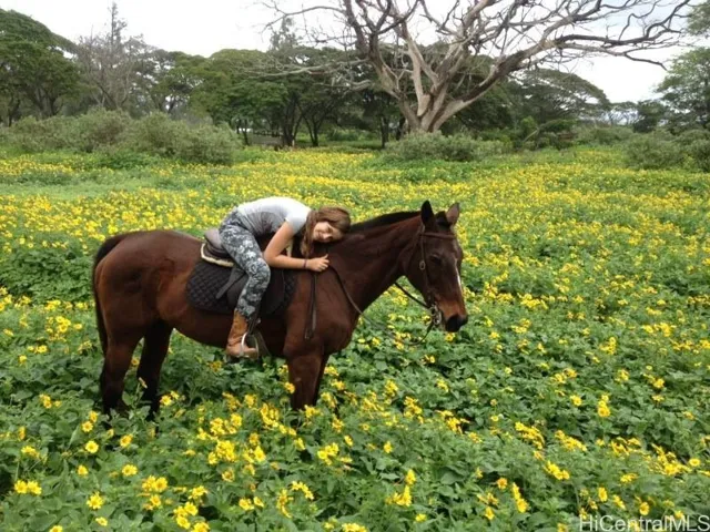 Enjoy farming, ranching or your equestrian life.