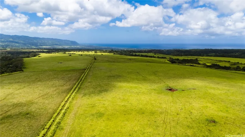 Part of the Laukihaa Farm community.
