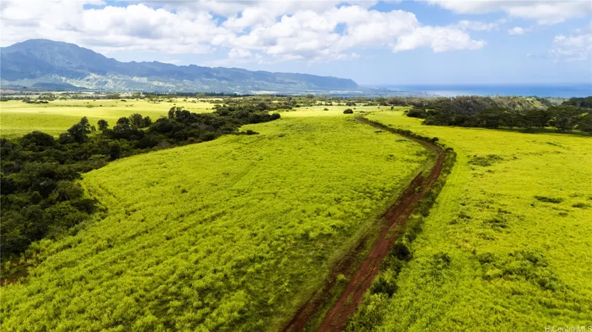The land will come with a packed gravel road approx. 22 feet wide to the property.