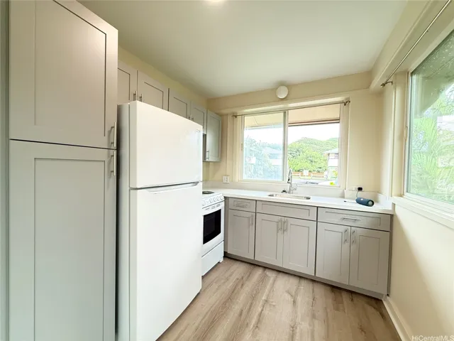 Brand new quartz countertops and cabinets, stainless hardware and finishing w/LED lighting