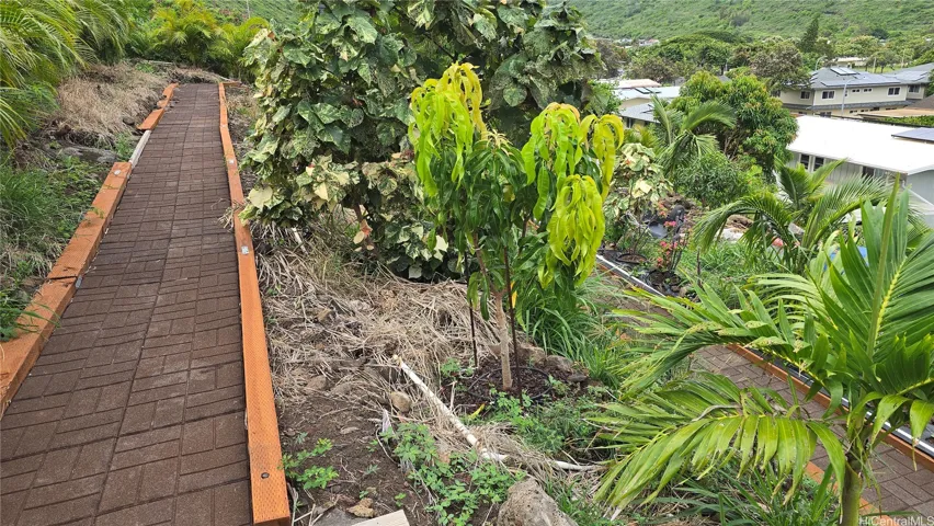 Hill_Pathway