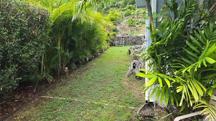 Side Yard