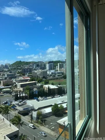 MORE Views