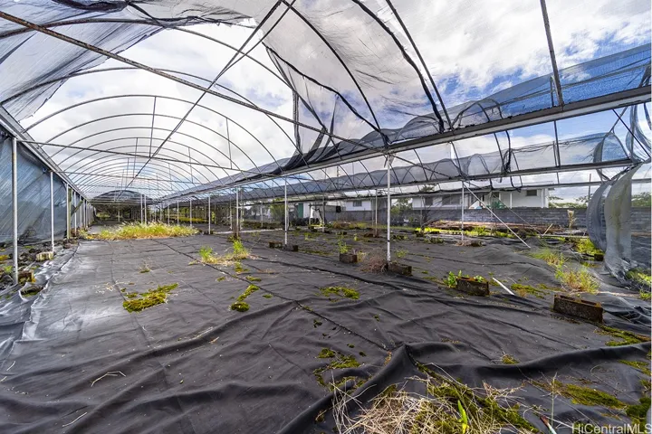 green house