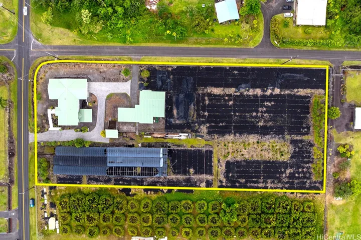 Overhead view. The back is all ready cleared and covered with landscaping mat so easy maintenance and large green house