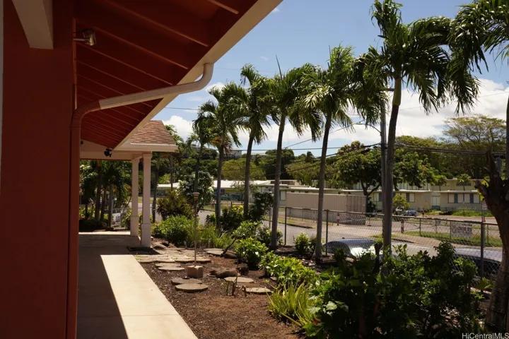 Side of the house with beautiful palm trees - easy care yard