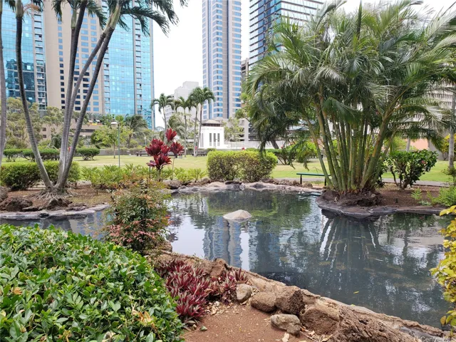 Duck pond