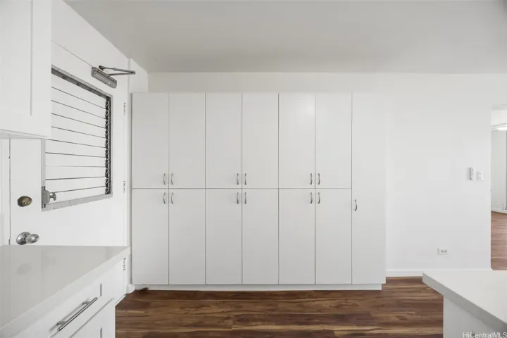 Ample pantry storage as you enter the unit opposite from the newly remodeled kitchen.