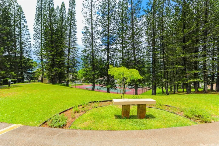 Walking Path and bench