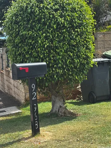 Front yard