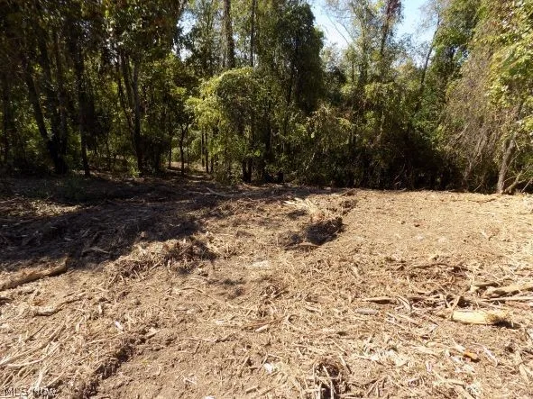 0 Maple Drive, Bridgeport, Ohio 43912,MLS Now Listing ID