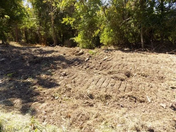 0 Maple Drive, Bridgeport, Ohio 43912,MLS Now Listing ID