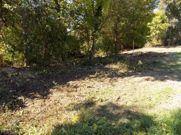 0 Maple Drive, Bridgeport, Ohio 43912,MLS Now Listing ID