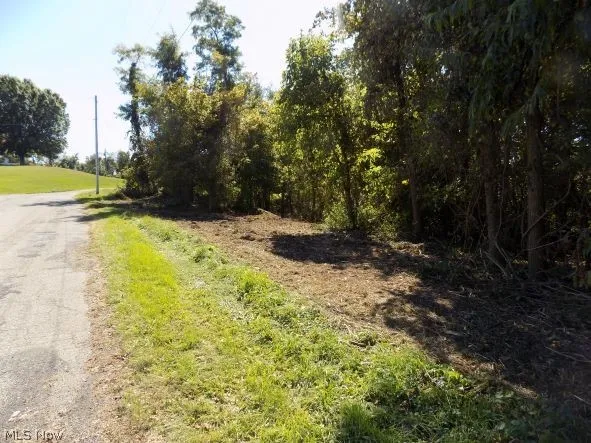 0 Maple Drive, Bridgeport, Ohio 43912,MLS Now Listing ID