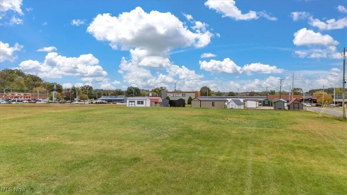 View of grassy yard
